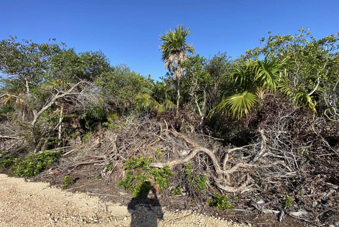 Imagen satelital del terreno habitacional en venta en Isla Blanca, Quintana Roo, ubicado entre la laguna Chacmuchuch y el mar Caribe